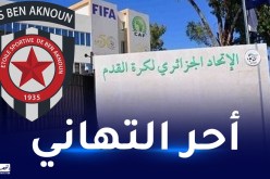 “الفاف” تهنئ نجم بن عكنون بصعوده التاريخي