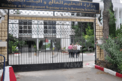 تعليم عالي..مرافقة حاضنات الأعمال للطلبة أصحاب المشاريع الابتكارية حتى بعد تخرجهم