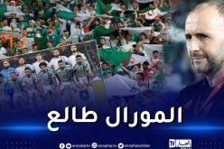 تفاؤل كبير للأنصار الجزائريين بتأهل الخضر إلى مونديال 2026