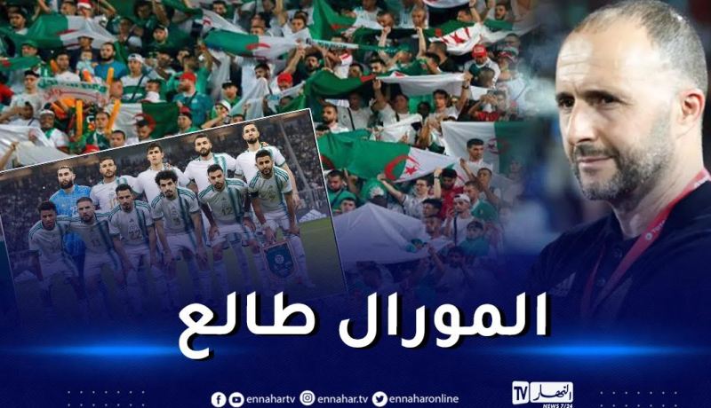 تفاؤل كبير للأنصار الجزائريين بتأهل الخضر إلى مونديال 2026