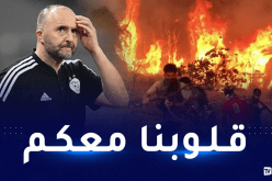 بلماضي يبدي تضامنه مع أسر ضحايا حرائق الغابات