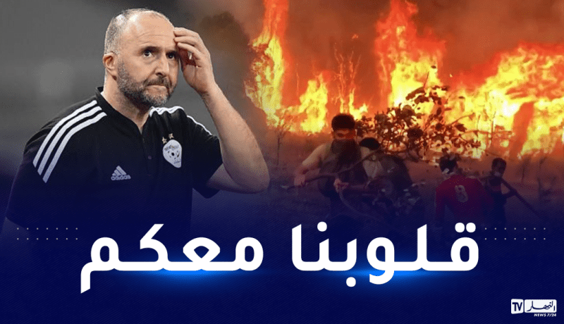 بلماضي يبدي تضامنه مع أسر ضحايا حرائق الغابات