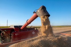 روسيا تنفي اصدارها أي بيان حول تمديد صفقة الحبوب