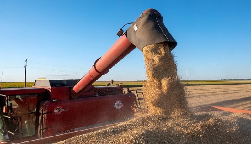 روسيا تنفي اصدارها أي بيان حول تمديد صفقة الحبوب