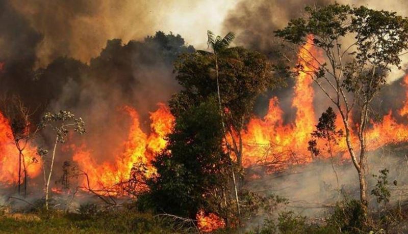 نصائح علمية للسكان القريبين من مواقع الحرائق