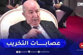 الرئيس تبون: عصابات المال حاولت عرقلة وتخريب مشروع إنجاز محطة تحلية مياه البحر بتيبازة