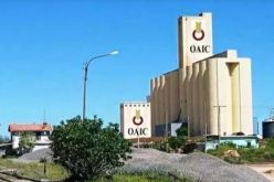 صفقة بيع وشراء بين “بدر” بنك وديوان الحبوب لمجمع NOVO GRAINS” الخاص..قريبا