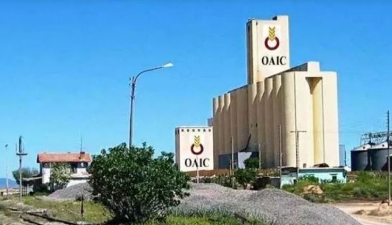 صفقة بيع وشراء بين “بدر” بنك وديوان الحبوب لمجمع NOVO GRAINS” الخاص..قريبا