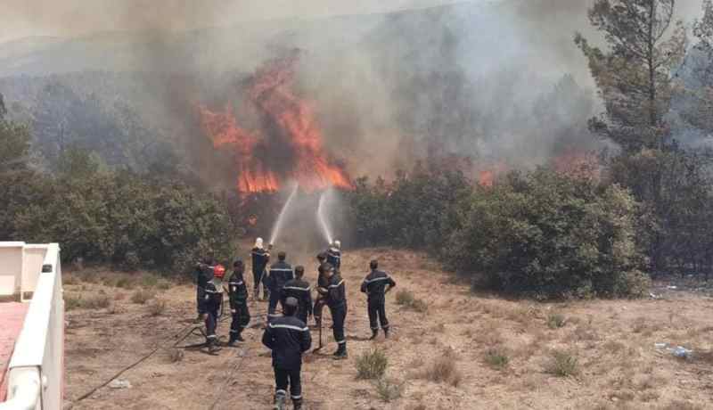 غرداية.. اصابة 3 اطفال بحروق من الدرجة الثانية اثر حريق بكوخ في بستان