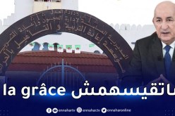 هؤلاء المستثنون من العفو الرئاسي