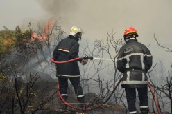 وزارة الفلاحة تدعو المواطنين إلى المزيد الحيطة وتفادي دخول الغابات