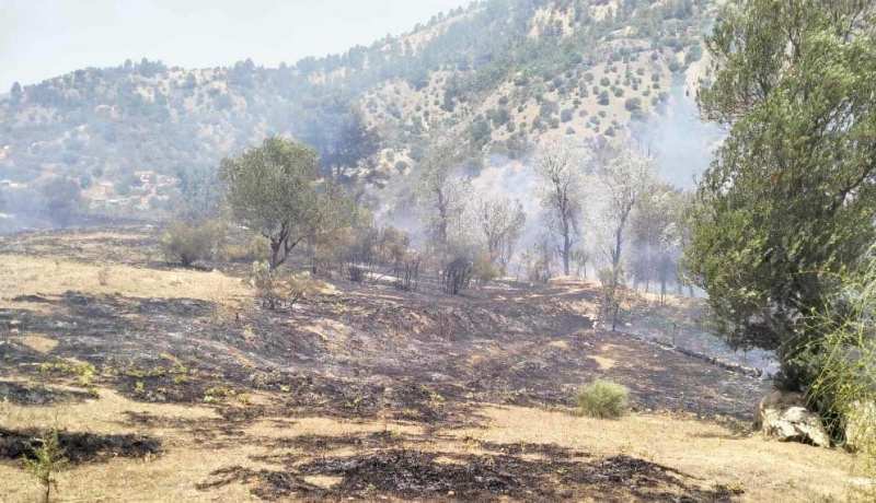 إندلاع حريق بغابة بني ورثيلان في سطيف