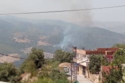 نشوب حريق في غابة الثعالبة بالبويرة