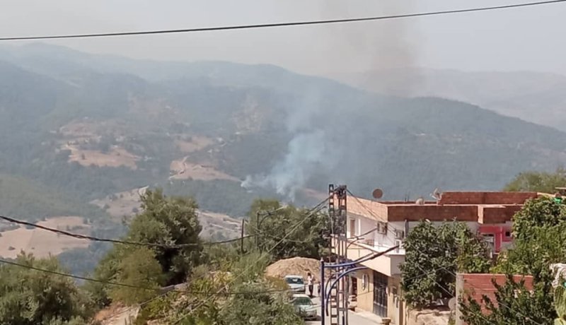 نشوب حريق في غابة الثعالبة بالبويرة