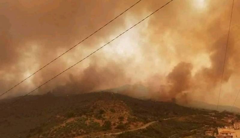الحرائق.. إجلاء 1400 شخص في البويرة و100 ببجاية