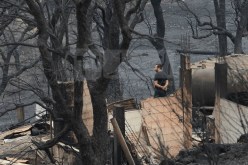 حرائق بجاية.. توقيف 4 مشتبه فيهم من بينهم قاصران