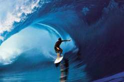 فيديو.. حيوان يسرق راكب أمواج وسط المحيط!