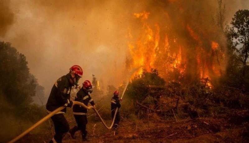 سطيف: إخماد حريق أدغال بمغراوة بلدية بني وسين