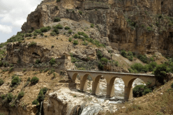 البحث عن امرأة سقطت من فوق جسر بقسنطينة