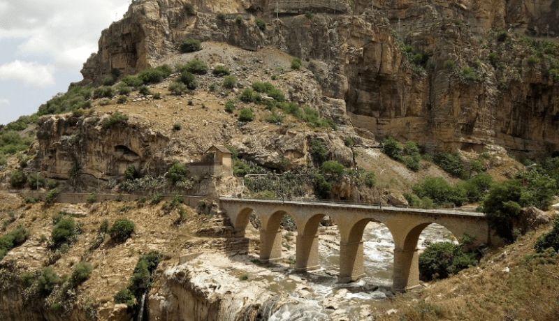 البحث عن امرأة سقطت من فوق جسر بقسنطينة