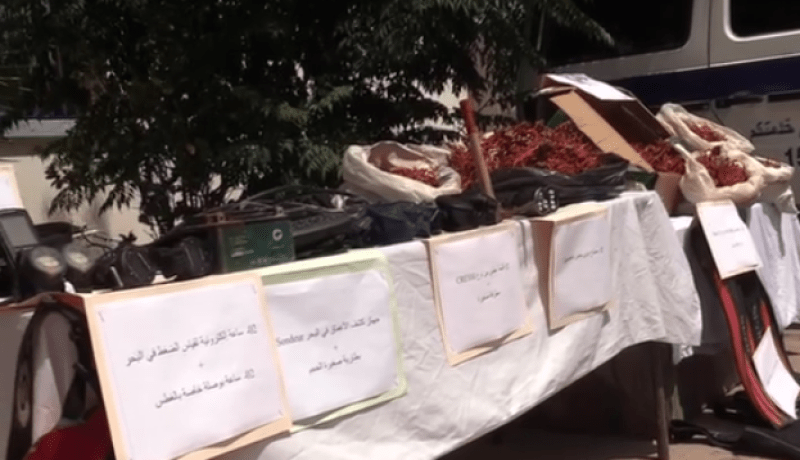 عنابة.. حجز 40 كلغ من المرجان الخام وتوقيف شخص