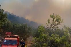 بومرداس: تسجيل 12 حريقا وعملية الإخماد متواصلة