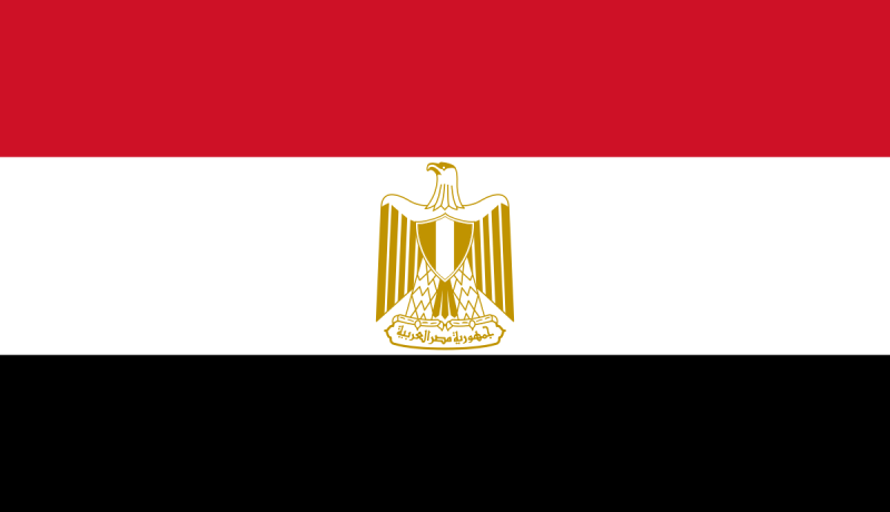 مصر تعلن استضافة قمة دول جوار السودان
