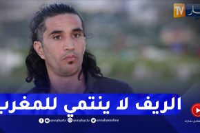 أحمد سلطان : “الريف لا ينتمي إلى المغرب وإنما الإسبان وفرنسا سلمونا لهم”