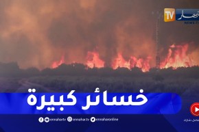 خسائر بشرية و تلف هكتارات من الثروة الغابية .. تواصل عملية إخماد الحرائق