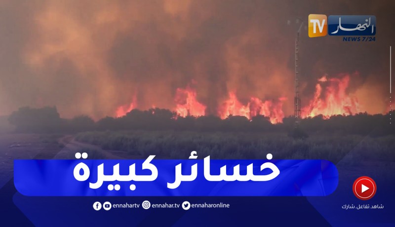 خسائر بشرية و تلف هكتارات من الثروة الغابية .. تواصل عملية إخماد الحرائق