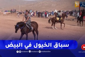 سباق الخيول.. تراث بحاجة للاهتمام بالبيض