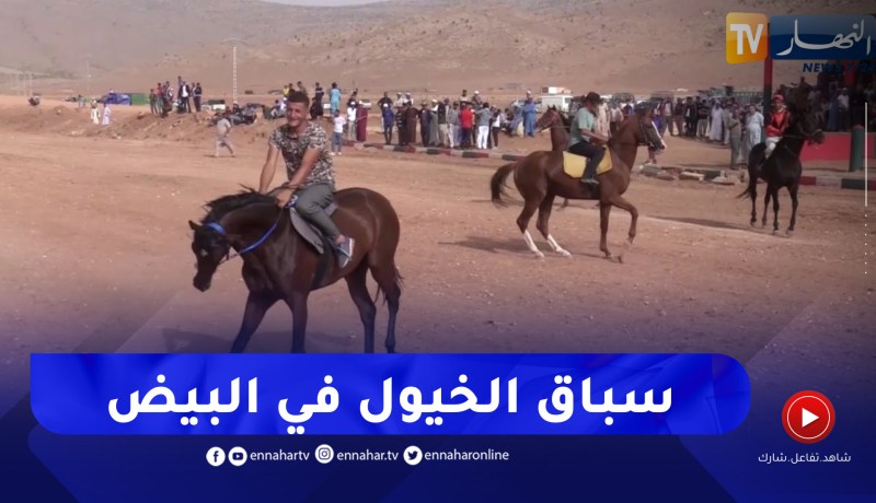 سباق الخيول.. تراث بحاجة للاهتمام بالبيض