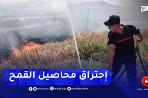 حريق في قسنطينة يتسبب في إتلاف محاصيل القمح