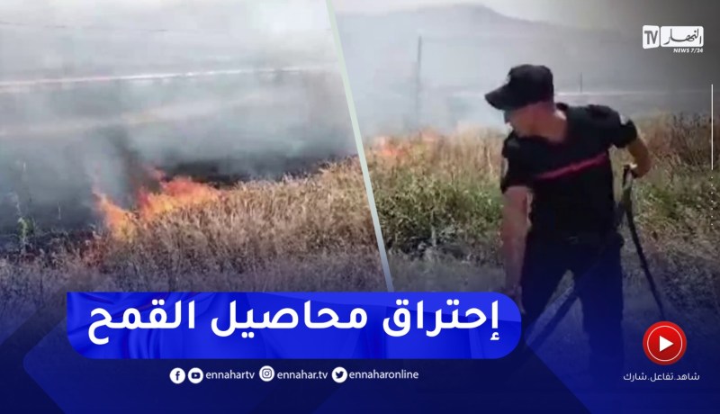 حريق في قسنطينة يتسبب في إتلاف محاصيل القمح