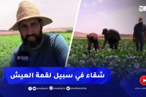 خنشلة / تحت أشعة الشمس الحارقة.. فلاحون في الحقول معاناة وشقاء في سبيل لقمة العيش