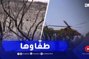 البويرة / إخماد الحريق الذي نشب بأعالي جبال صحاريج بقرية تعساسين