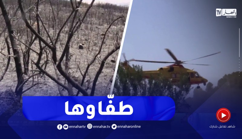 البويرة / إخماد الحريق الذي نشب بأعالي جبال صحاريج بقرية تعساسين