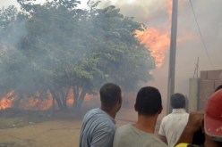 فتح تحقيقات قضائية حول مصدر الحرائق المندلعة في بجاية وجيجل