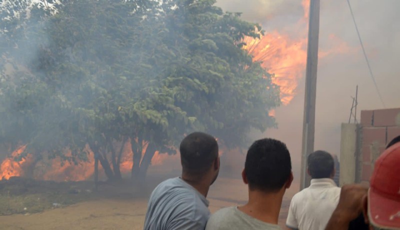 فتح تحقيقات قضائية حول مصدر الحرائق المندلعة في بجاية وجيجل