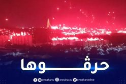 بالفيديو.. أنصار شباب بلوزداد يلهبون العاصمة باحتفالات ميلاد التأسيس