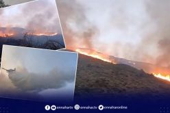 البويرة.. اندلاع حريق بغابة صحاريج وتدخل عناصر الحماية لإطفائه 
