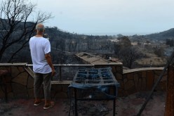 حرائق الغابات.. الشروع في معاينة الأضرار وإحصاء المتضررين قصد تعويضهم