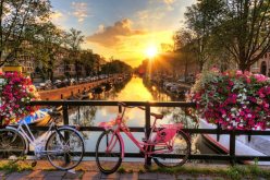 الوظائف الصيفية للأجانب في أوروبا: هؤلاء من يمكنهم الاستفادة