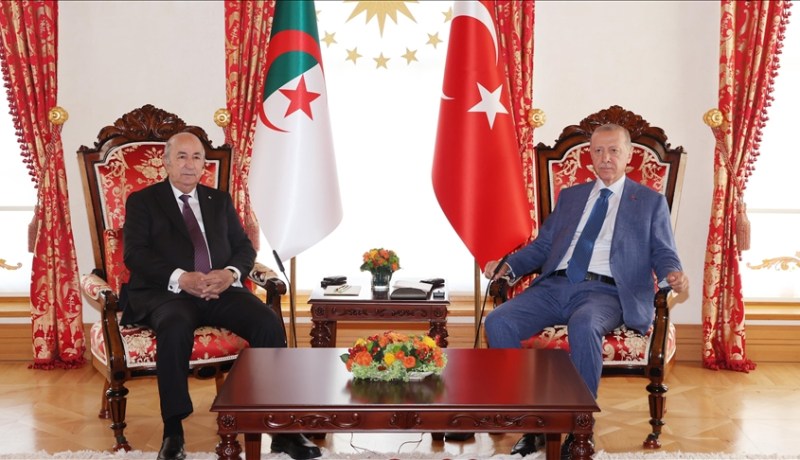 لقاء ثنائي بين الرئيس تبون ونظيره أردوغان