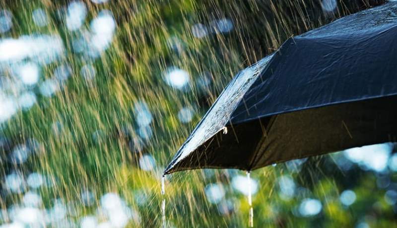 تساقط الأمطار على 12 ولاية