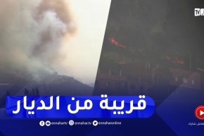 مشاهد مباشرة من البويرة..الحراـ.ـئق تلتهم الغطاء النباتي