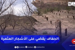 باتنة: الجفاف يقضي على نصف مساحة الأشجار المثمرة ببلدية سفيان