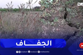 البليدة: الأشجار المثمرة تعاني الجفاف لغياب السقي .. والفلاحون يدقون ناقوس الخطر
