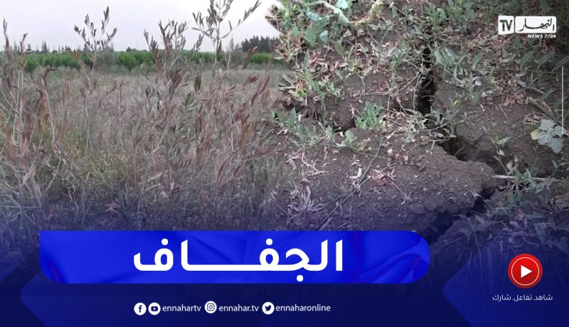 البليدة: الأشجار المثمرة تعاني الجفاف لغياب السقي .. والفلاحون يدقون ناقوس الخطر