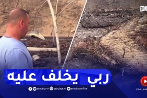 البويرة : نفوق 4000 ديك رومي بمزرعة محمد..الحرائق تأتي على الأخضر واليابس